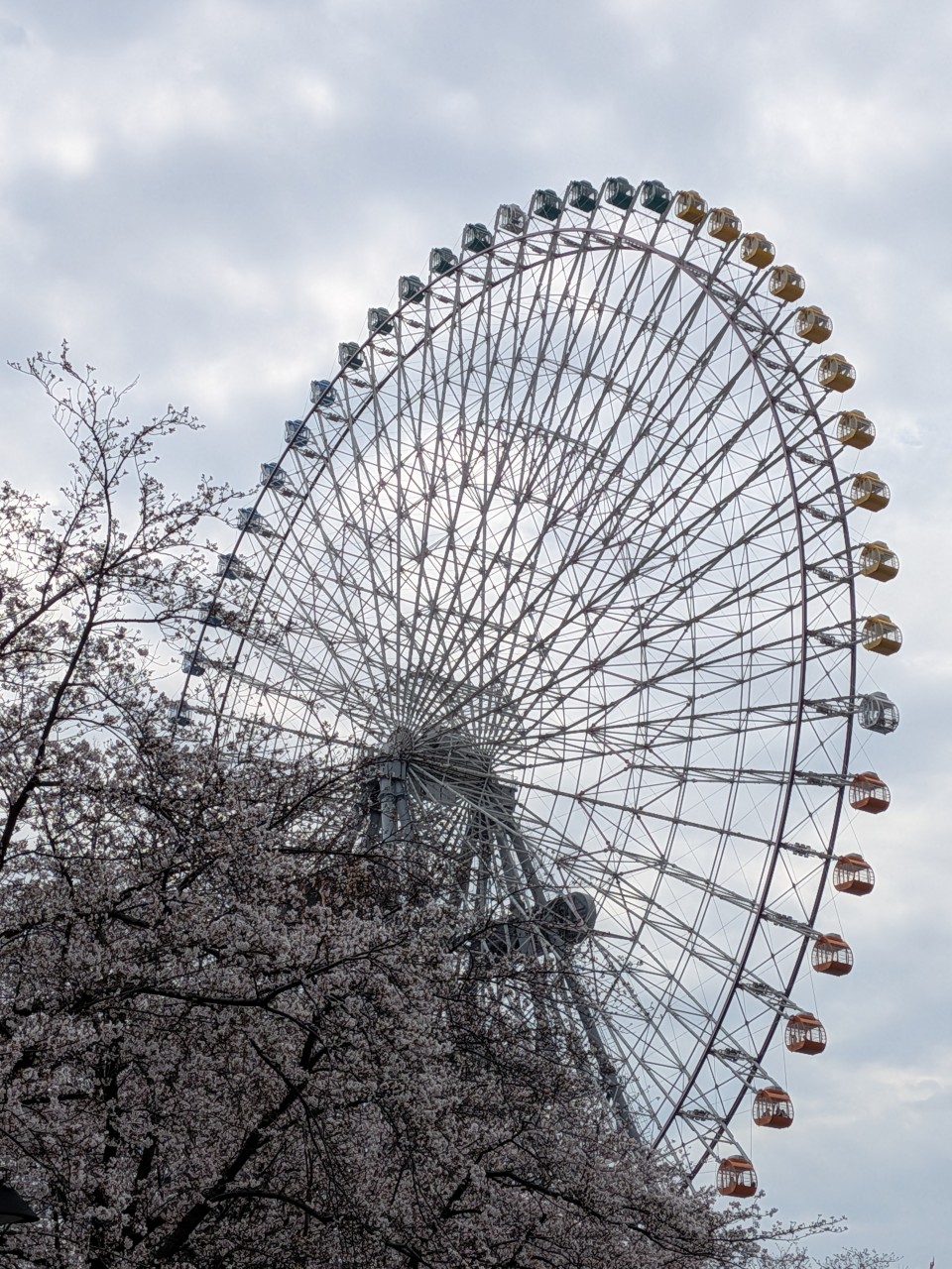 アップロード画像