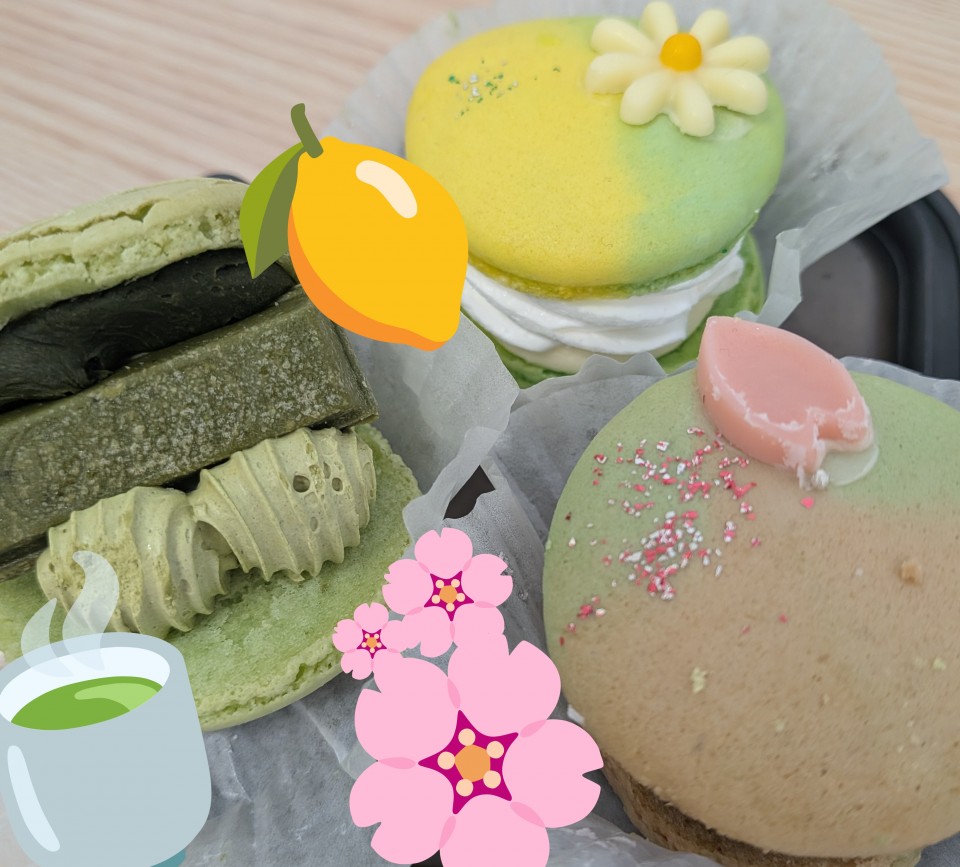 アップロード画像