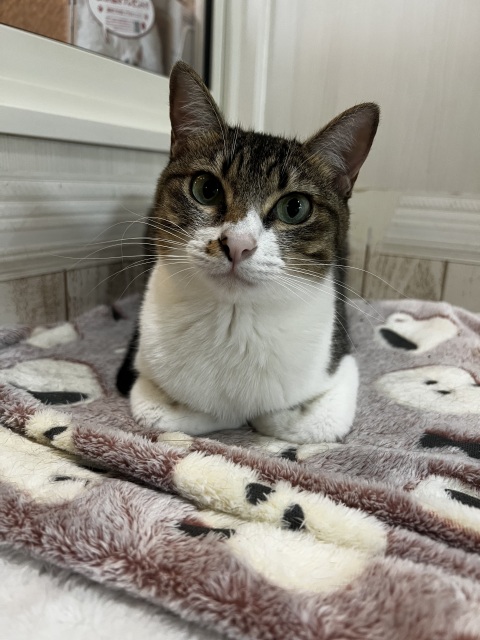写メ