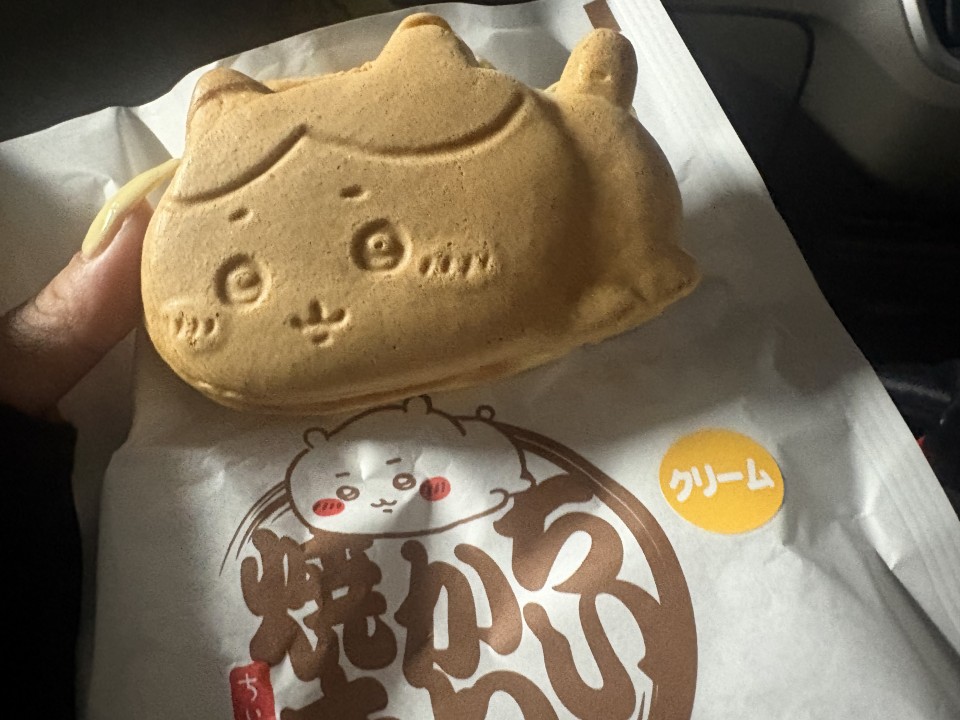 アップロード画像