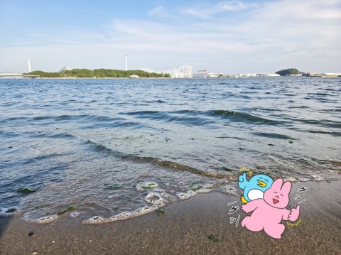写メ