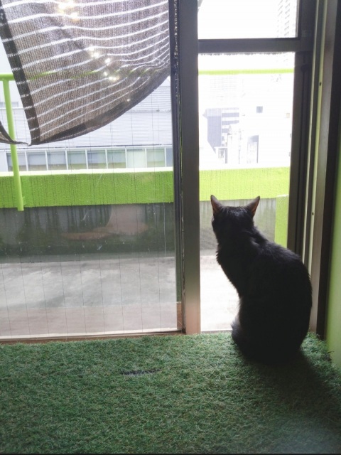 写メ