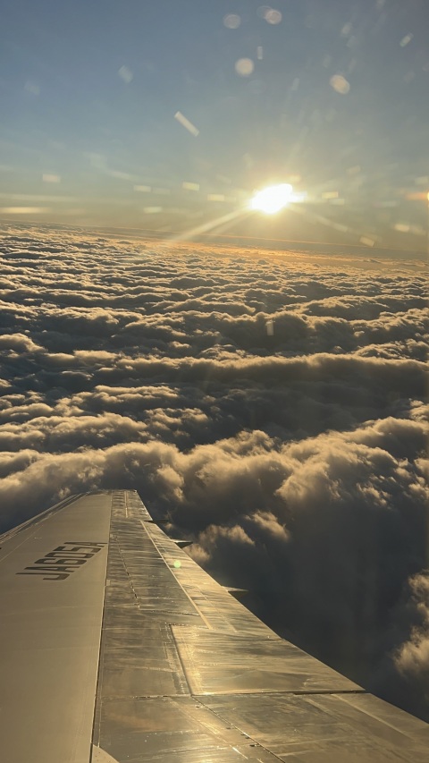 写メ