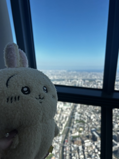 写メ