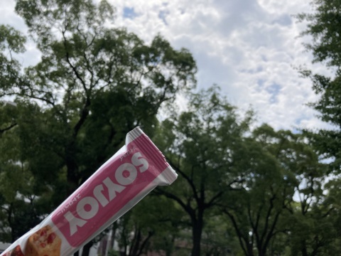 写メ