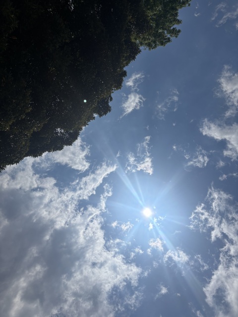 写メ