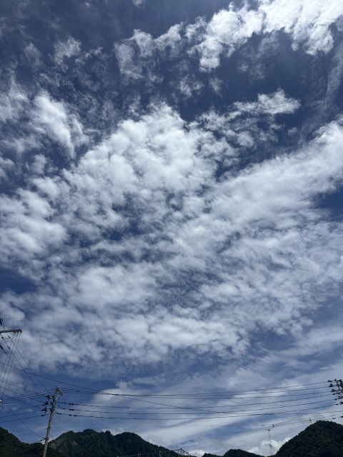 写メ