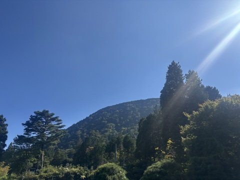 写メ