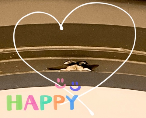写メ