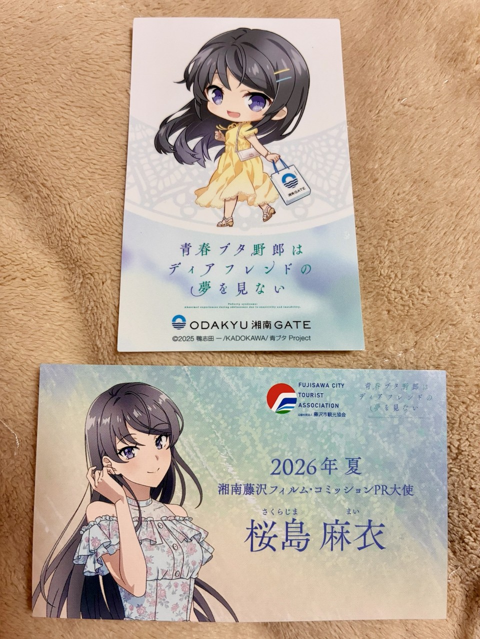 アップロード画像