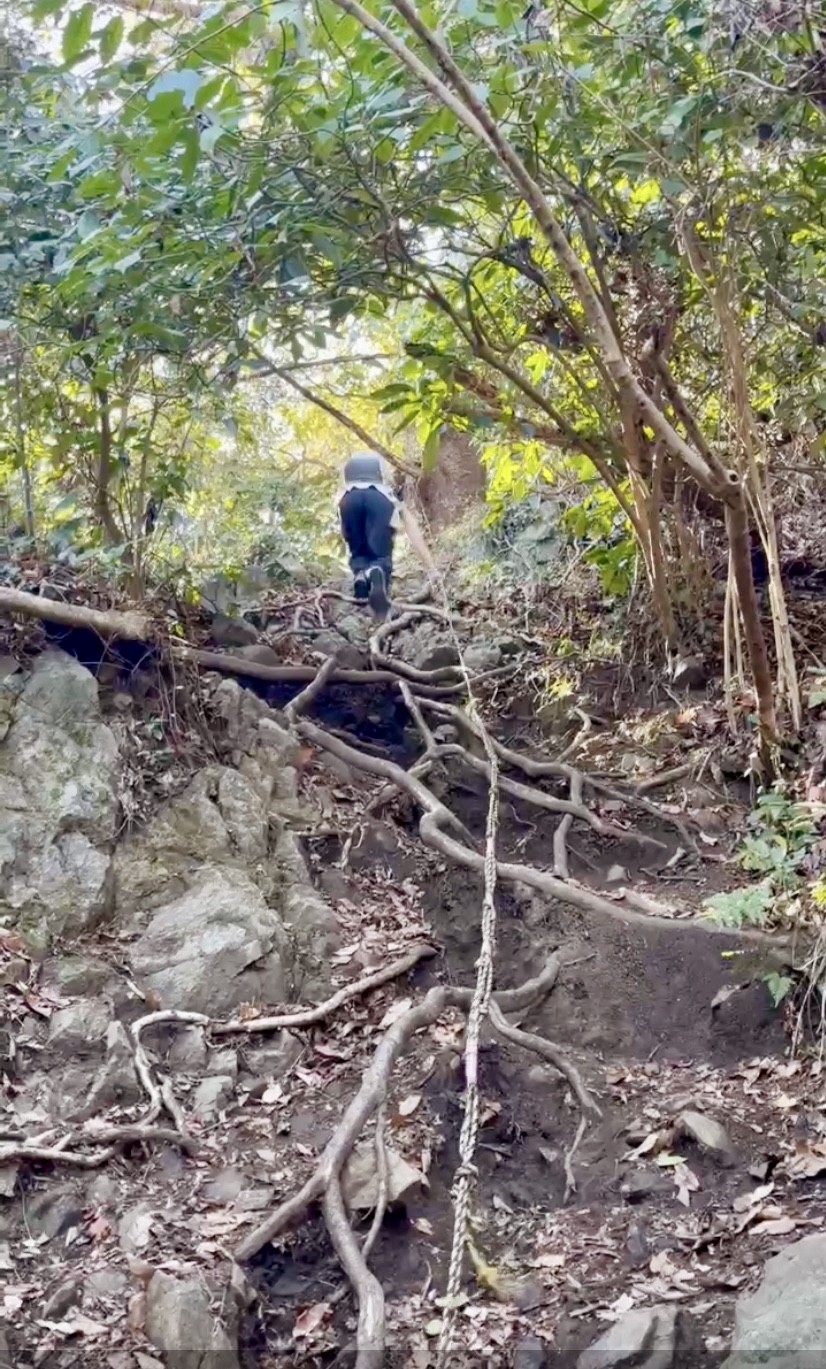 アップロード画像