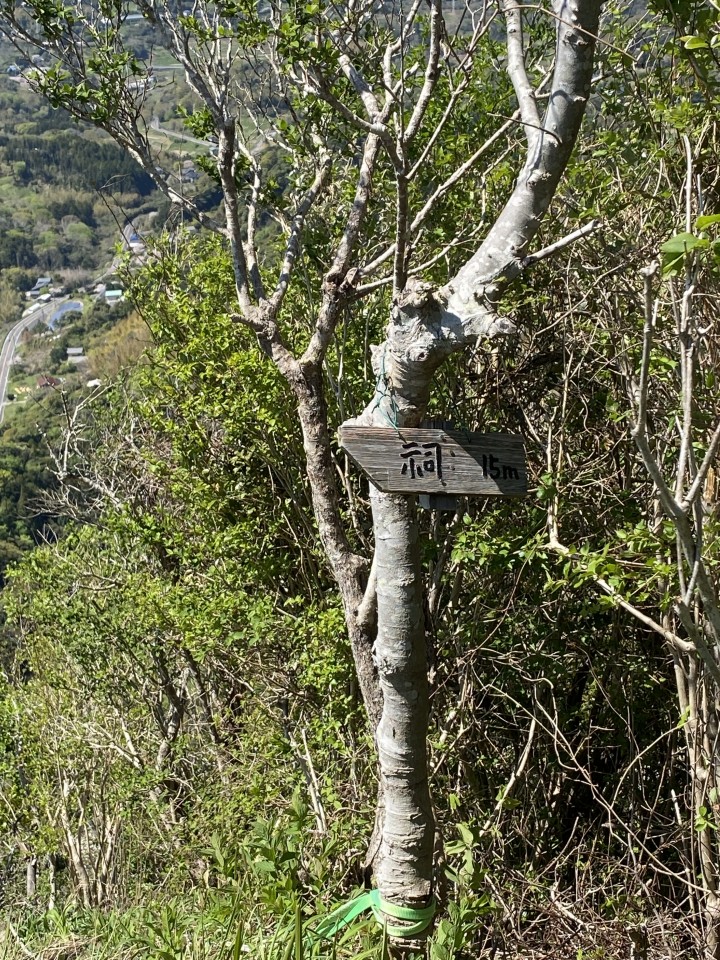 アップロード画像