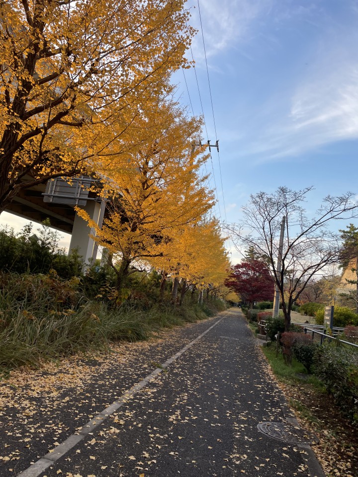 アップロード画像