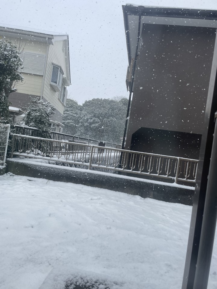 アップロード画像