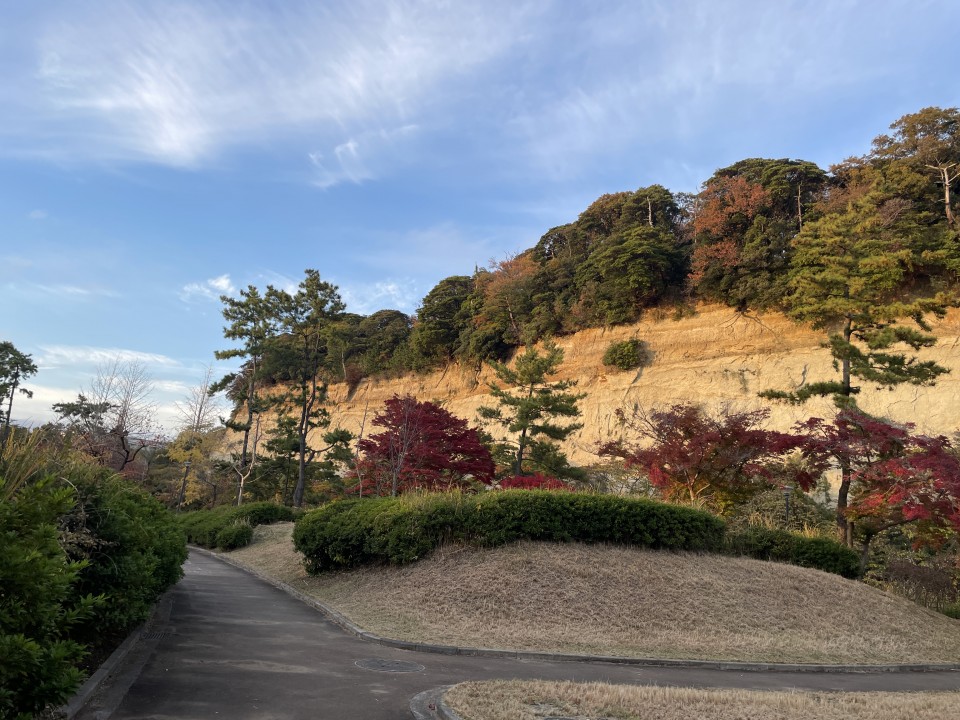 アップロード画像