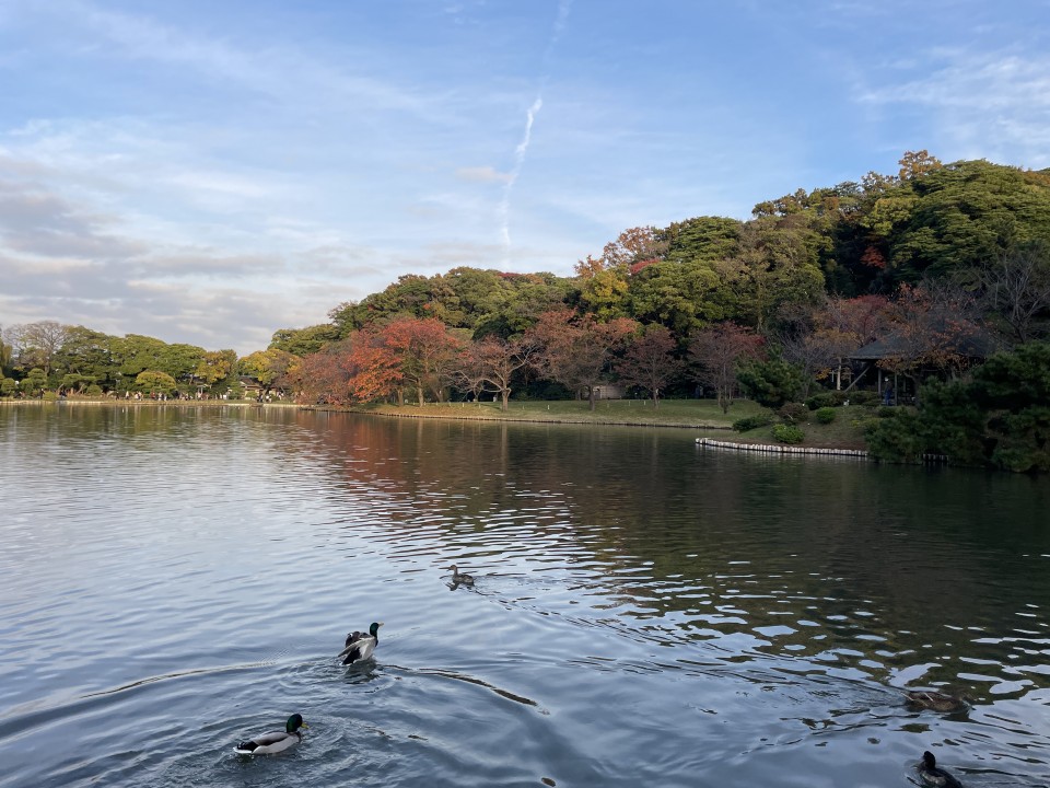 アップロード画像