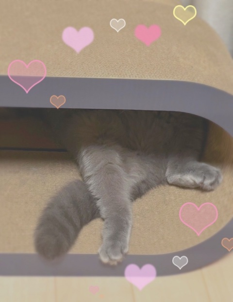 写メ