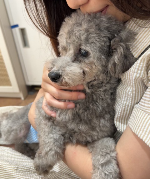 写メ