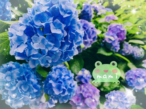 写メ