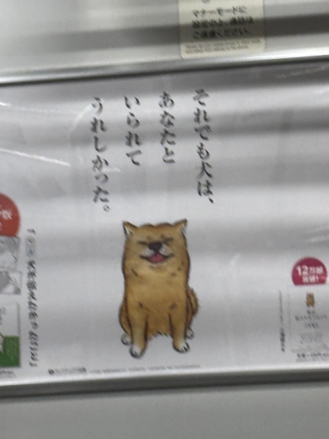 写メ