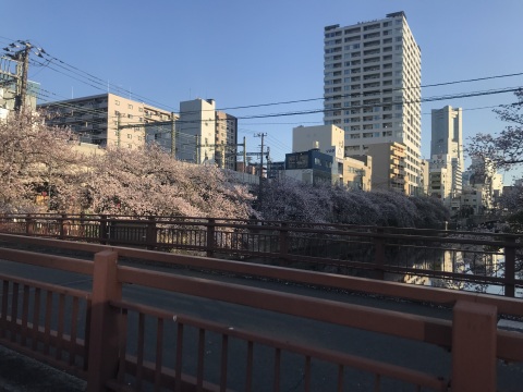 写メ
