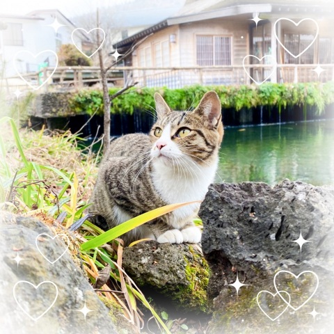 写メ