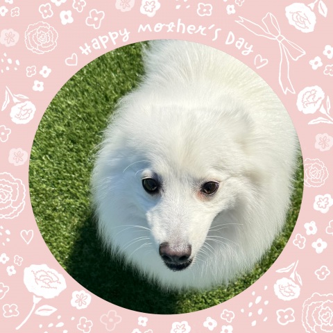 写メ