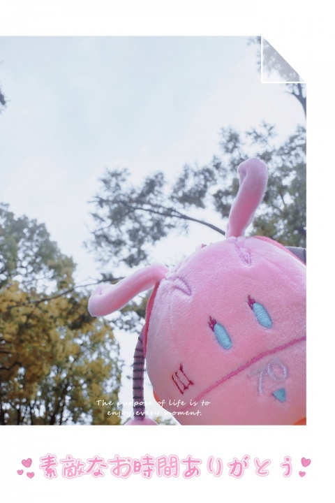 写メ