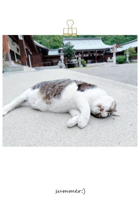 写メ