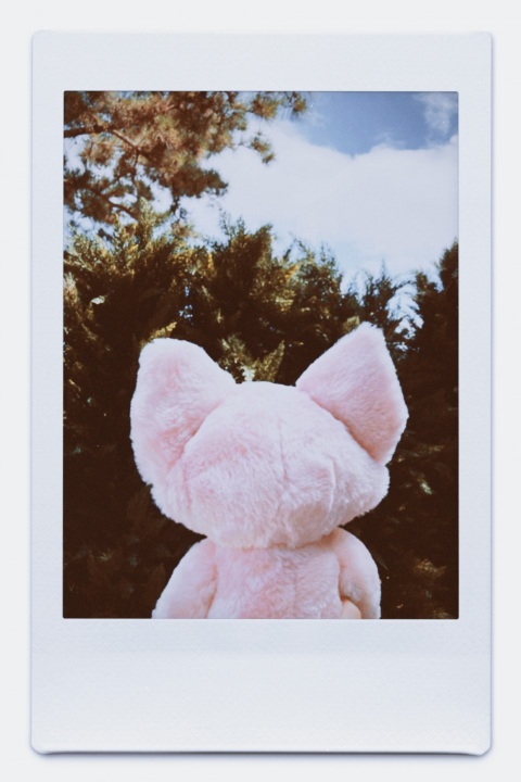 写メ