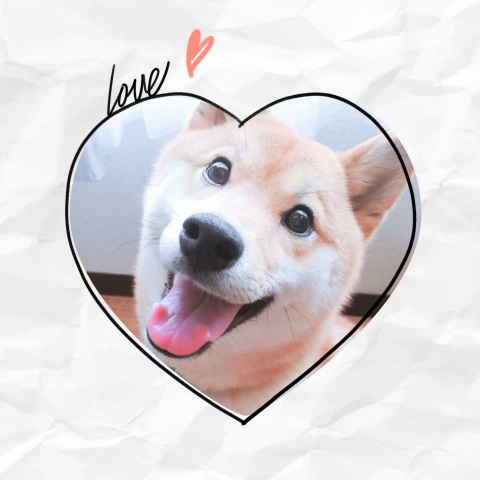 写メ