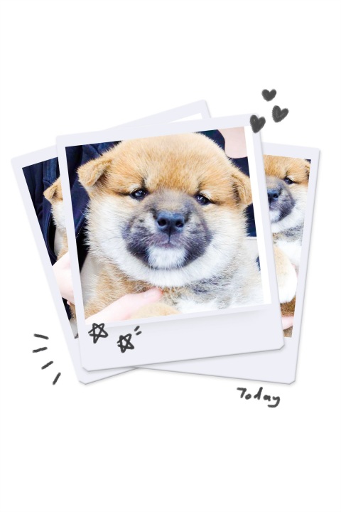 写メ