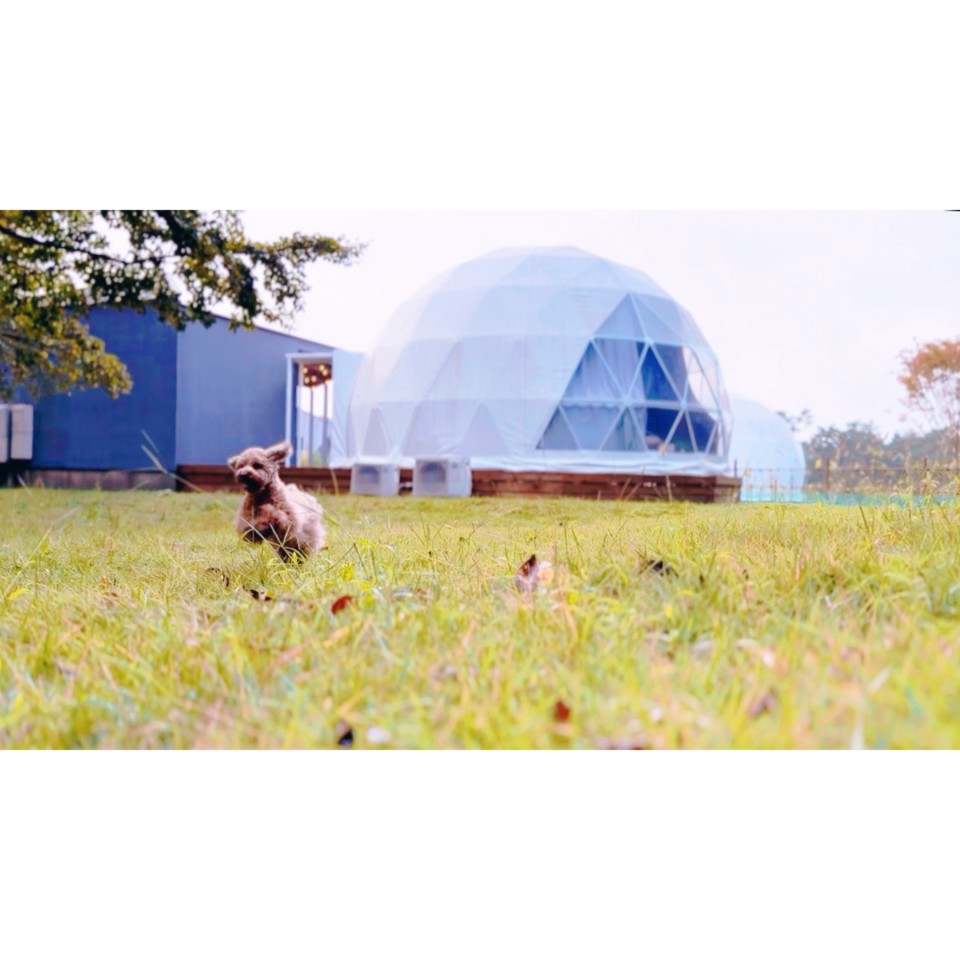 アップロード画像