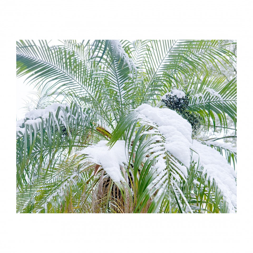 アップロード画像