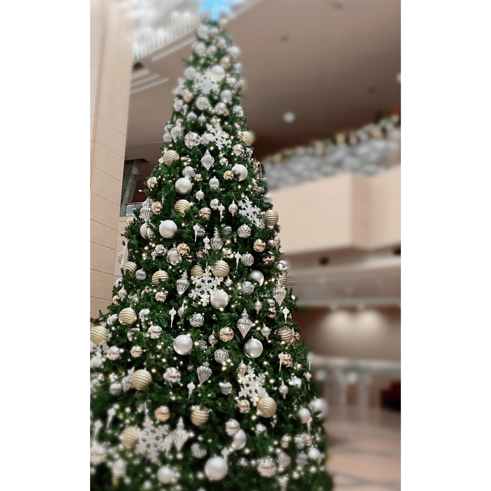 アップロード画像