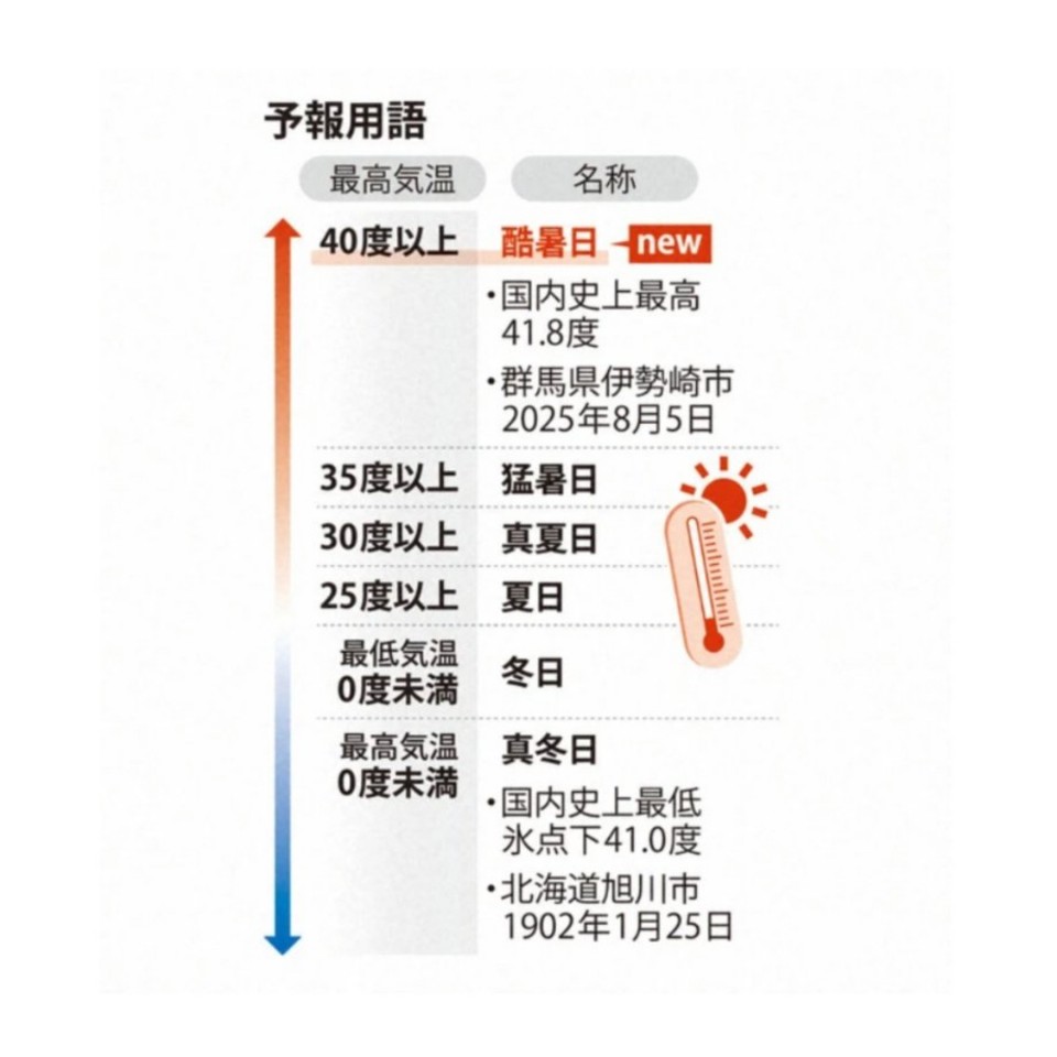 アップロード画像