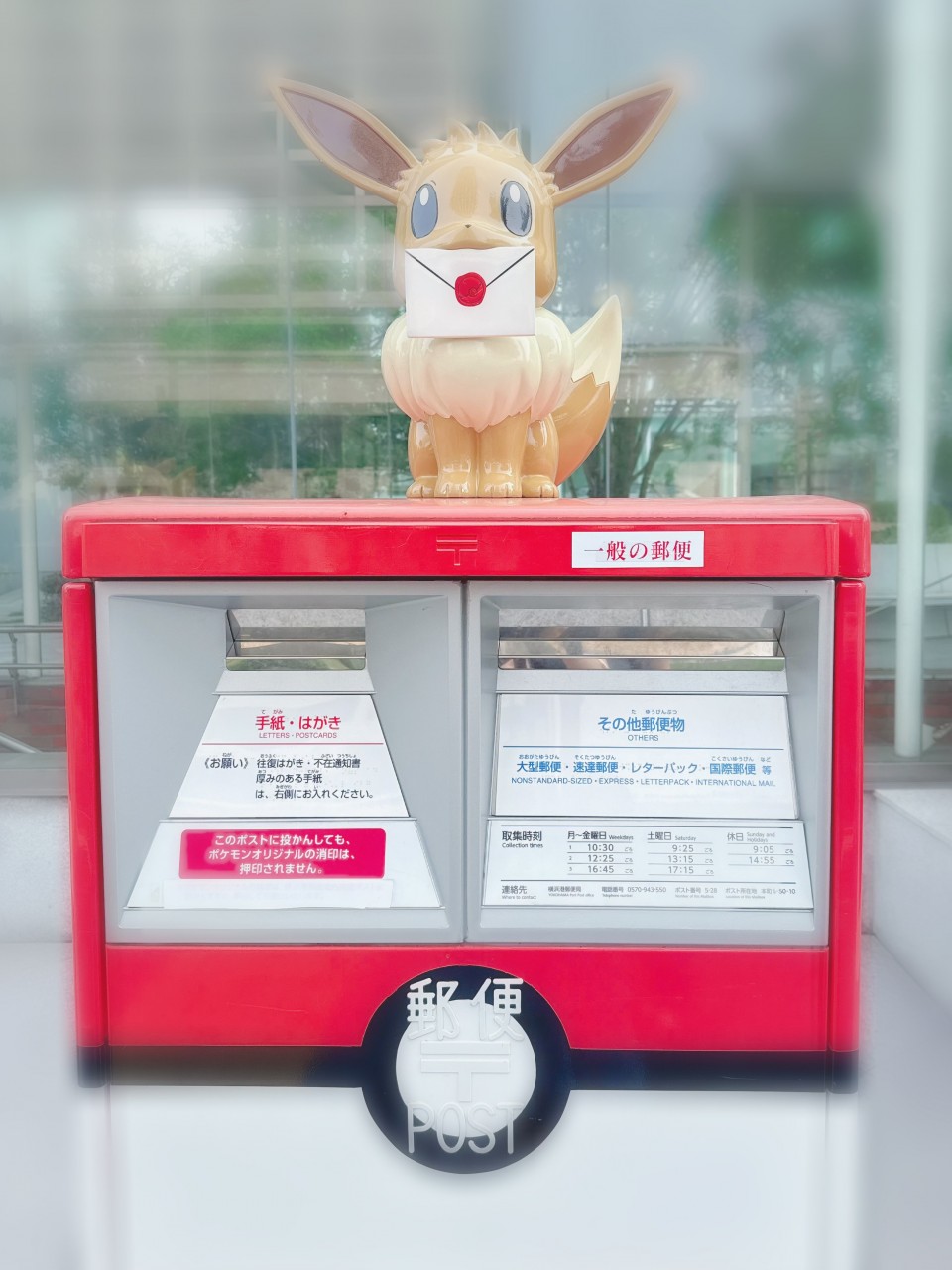 アップロード画像