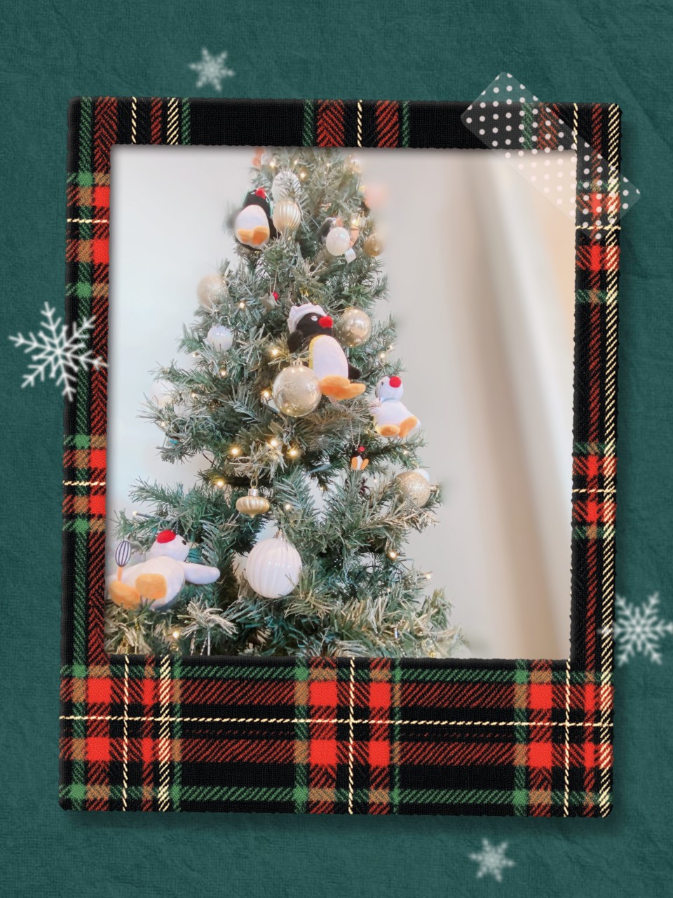 アップロード画像