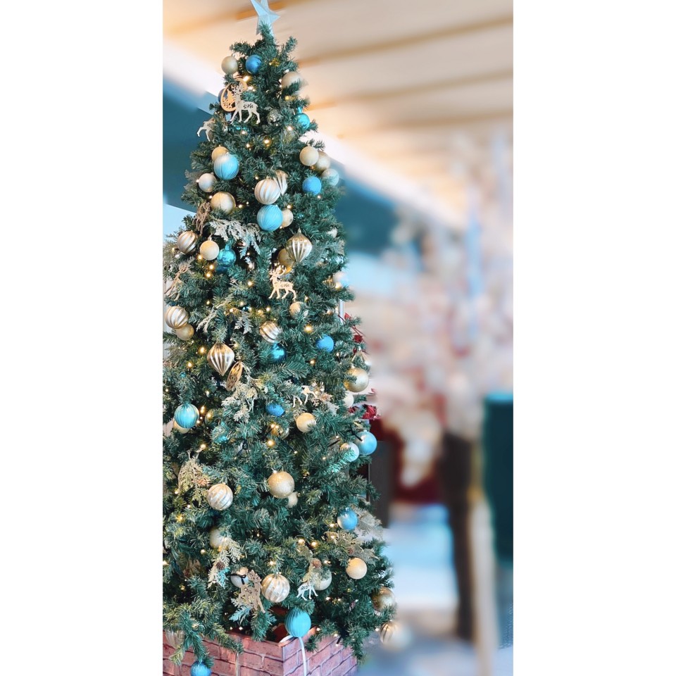 アップロード画像