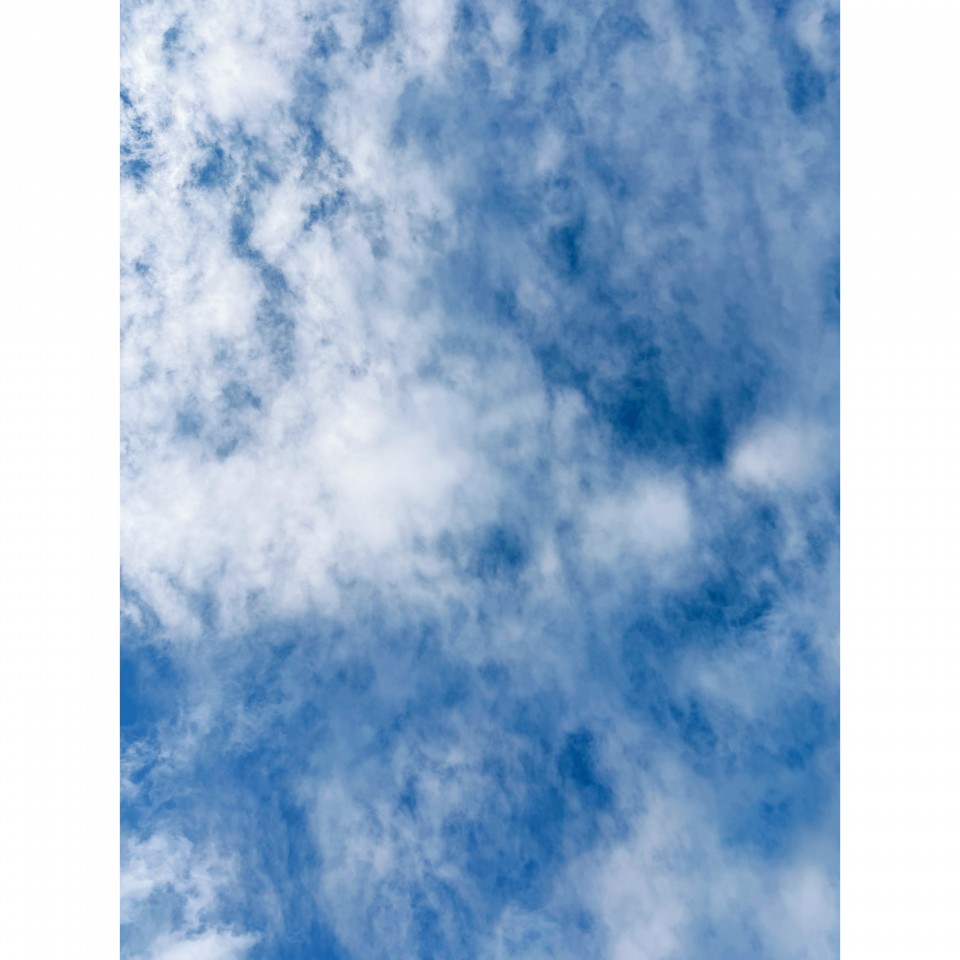 アップロード画像