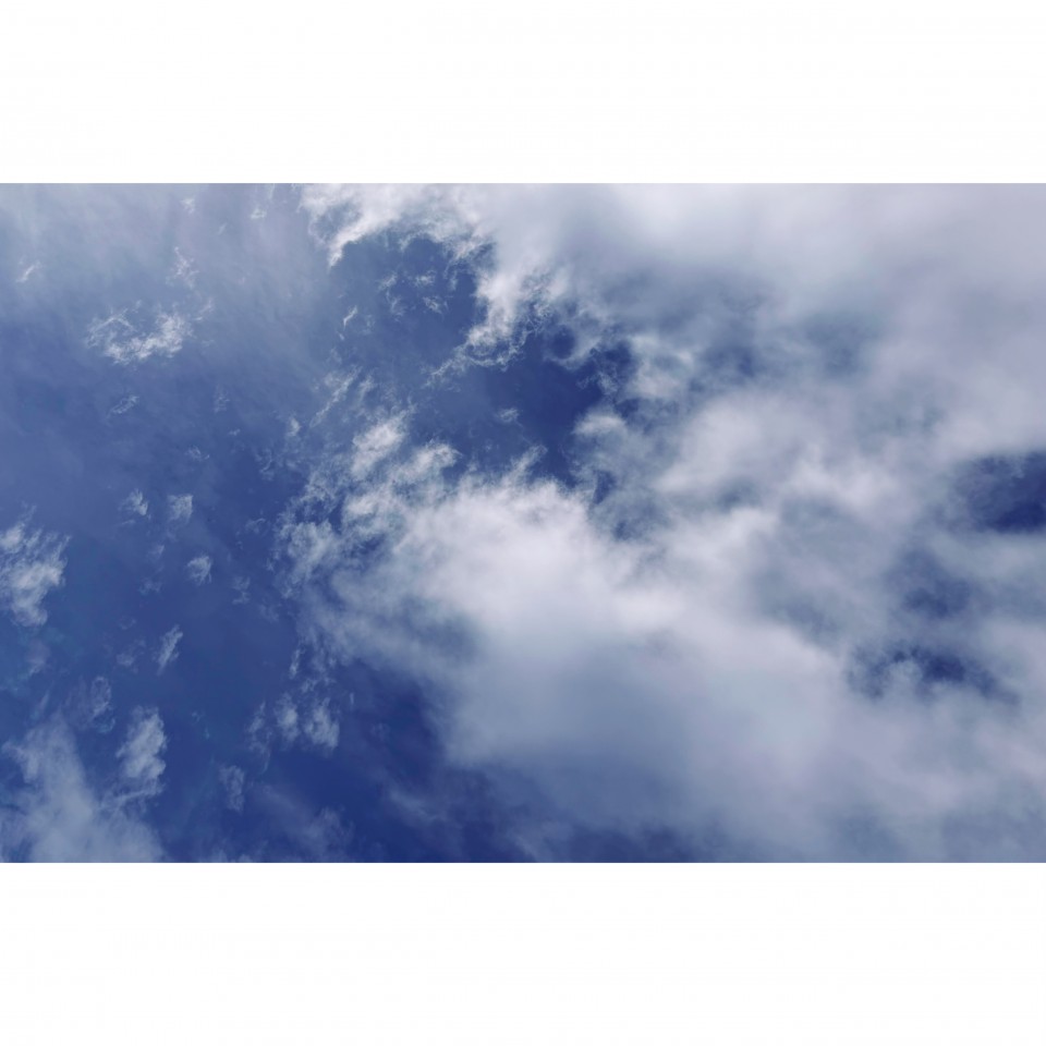 アップロード画像