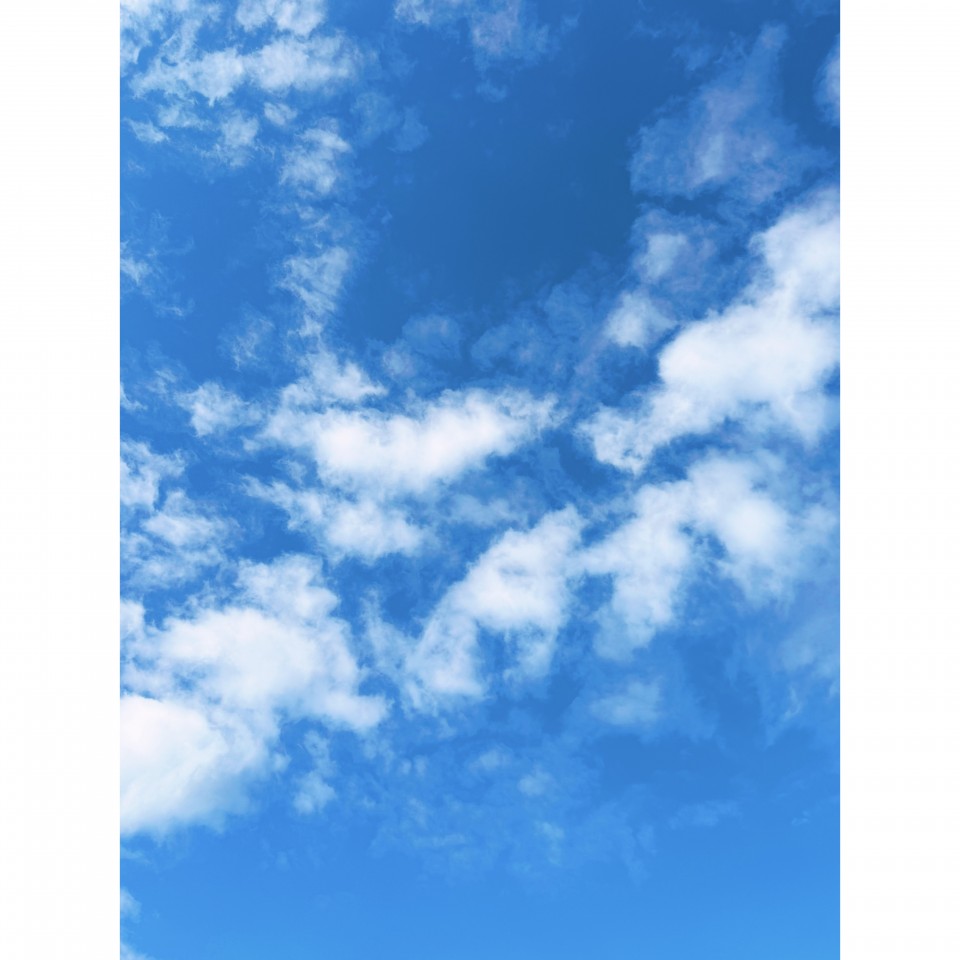 アップロード画像