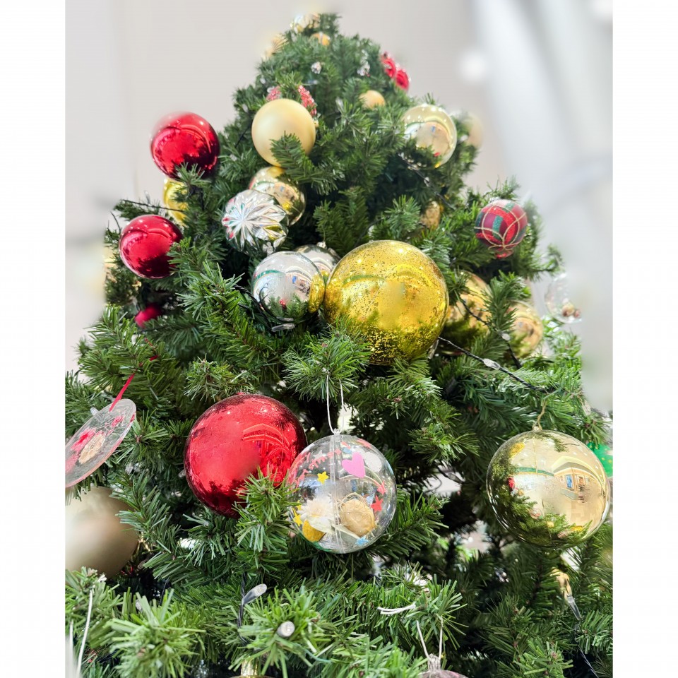 アップロード画像