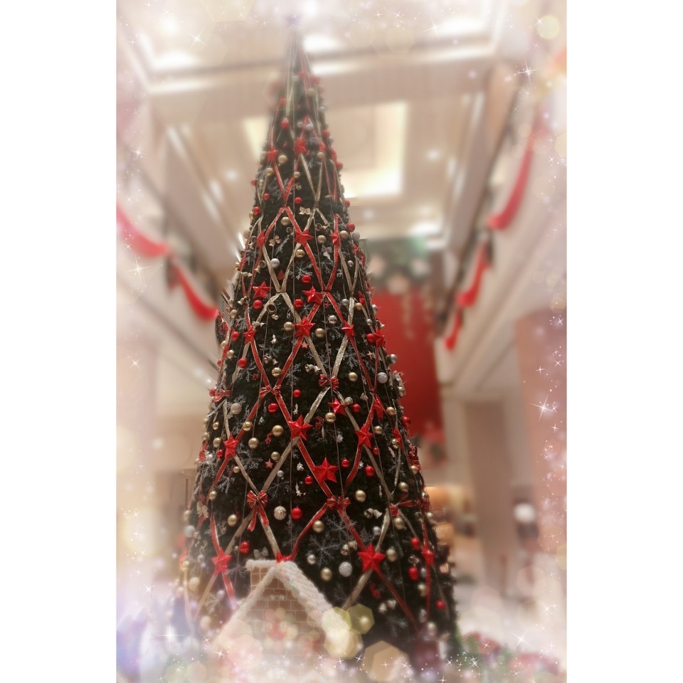 アップロード画像