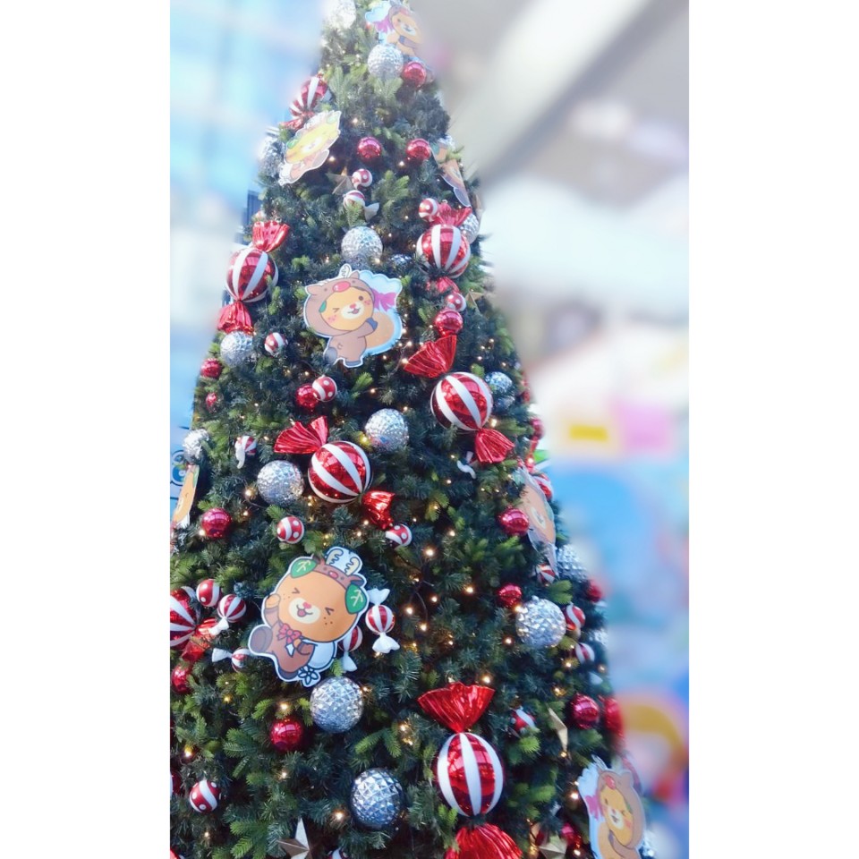 アップロード画像