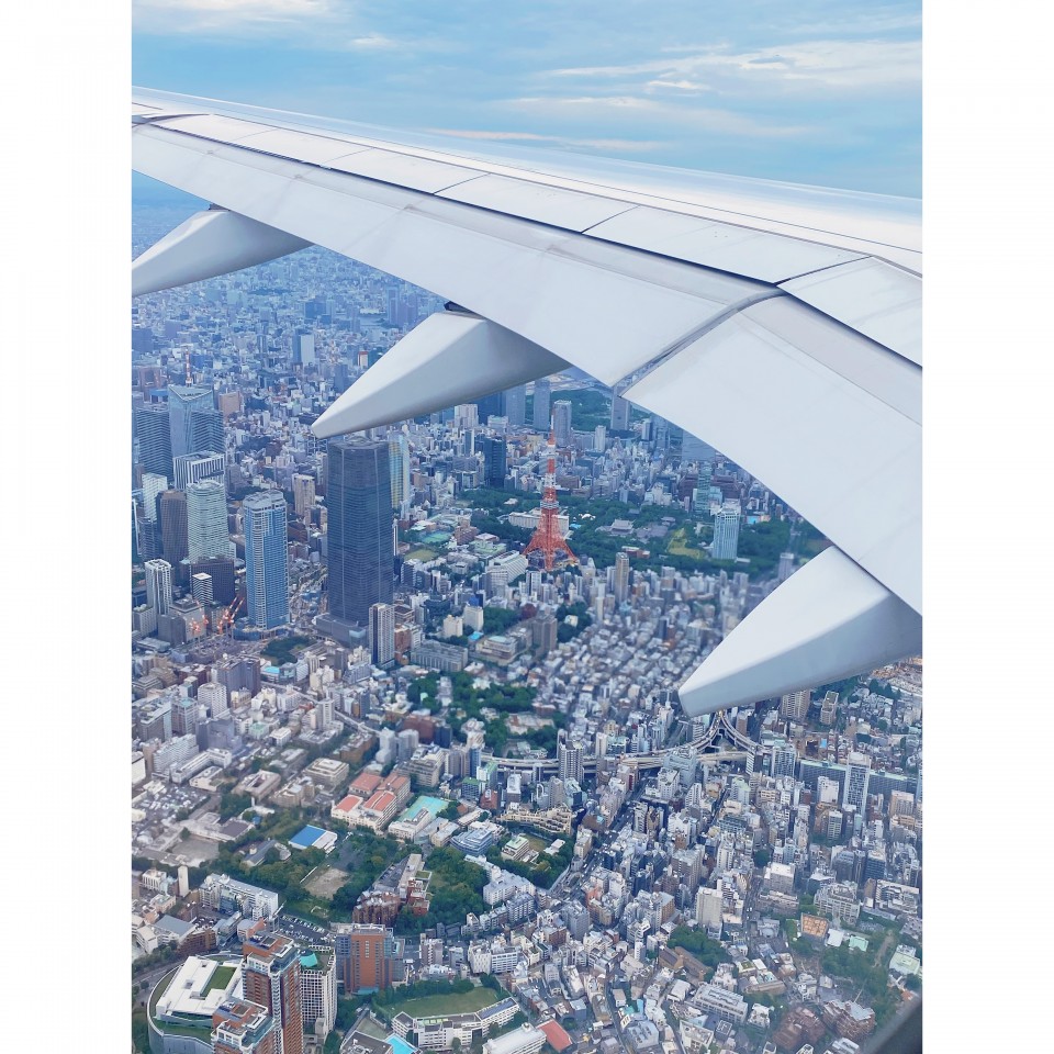 アップロード画像