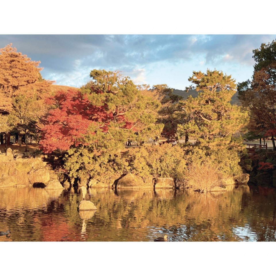 アップロード画像