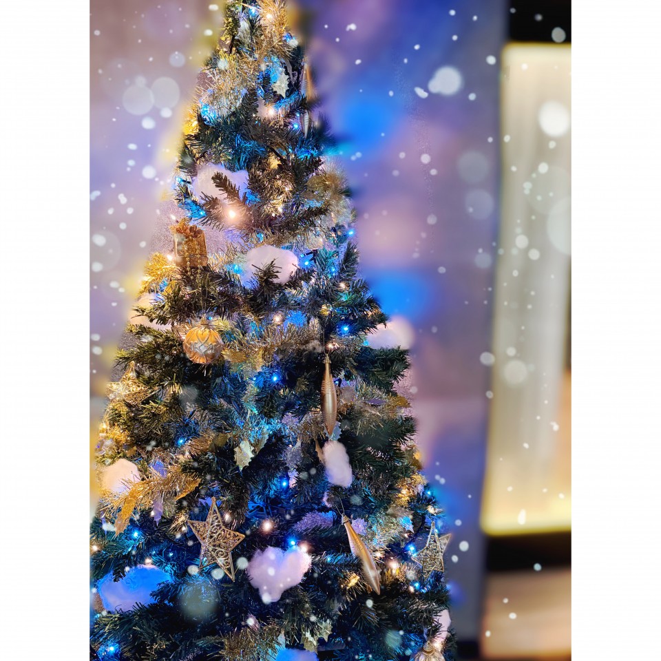 アップロード画像