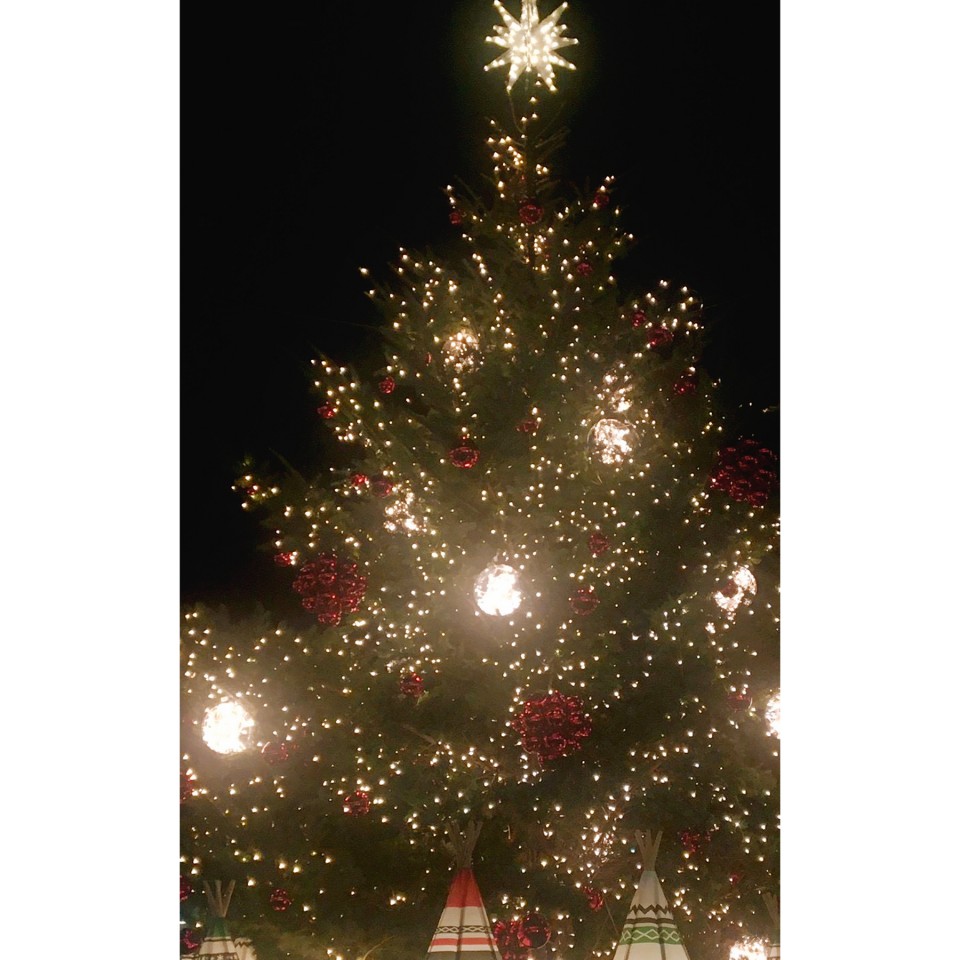 アップロード画像