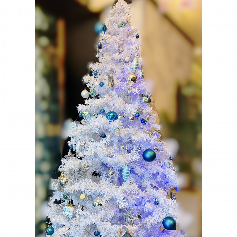 アップロード画像